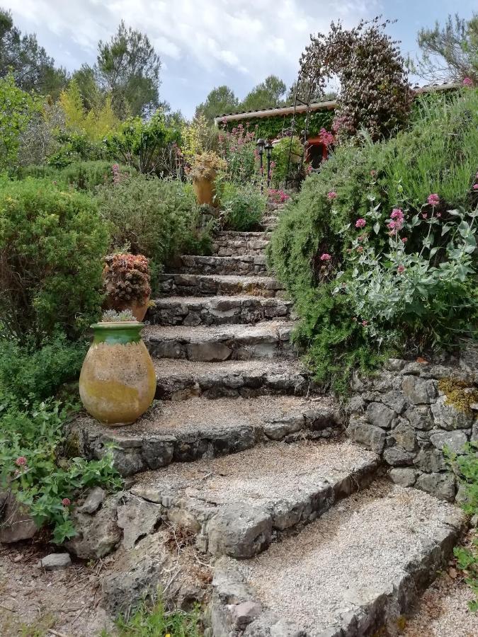 Chambre D'Hote Le Mas Des Romarins Les Arcs-sur-Argens 외부 사진