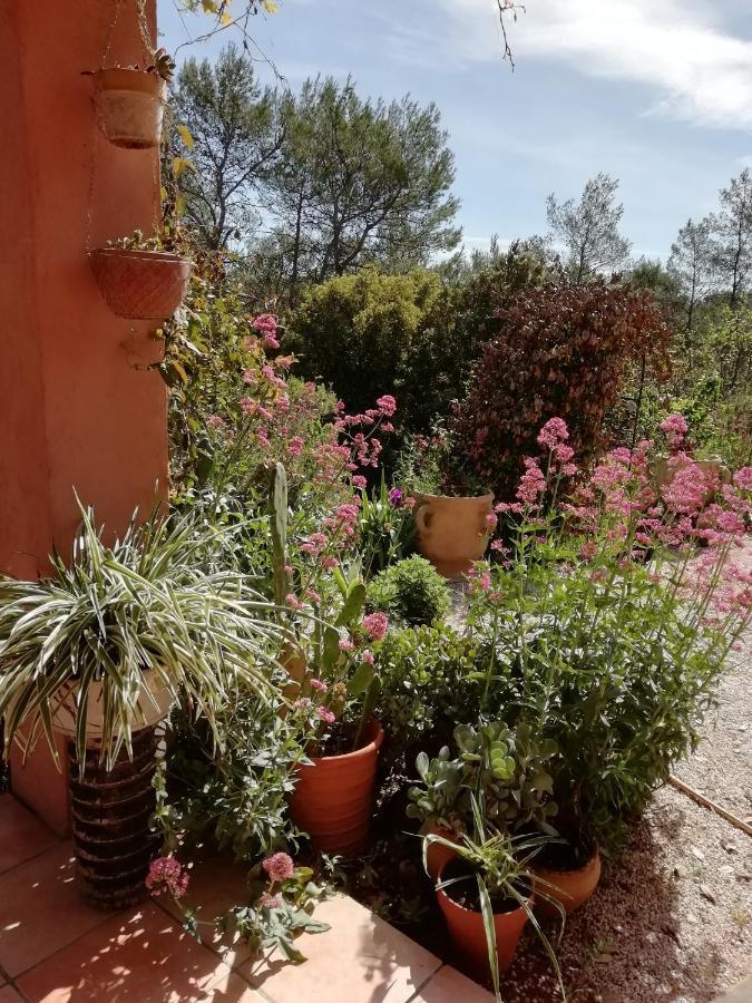 Chambre D'Hote Le Mas Des Romarins Les Arcs-sur-Argens 외부 사진