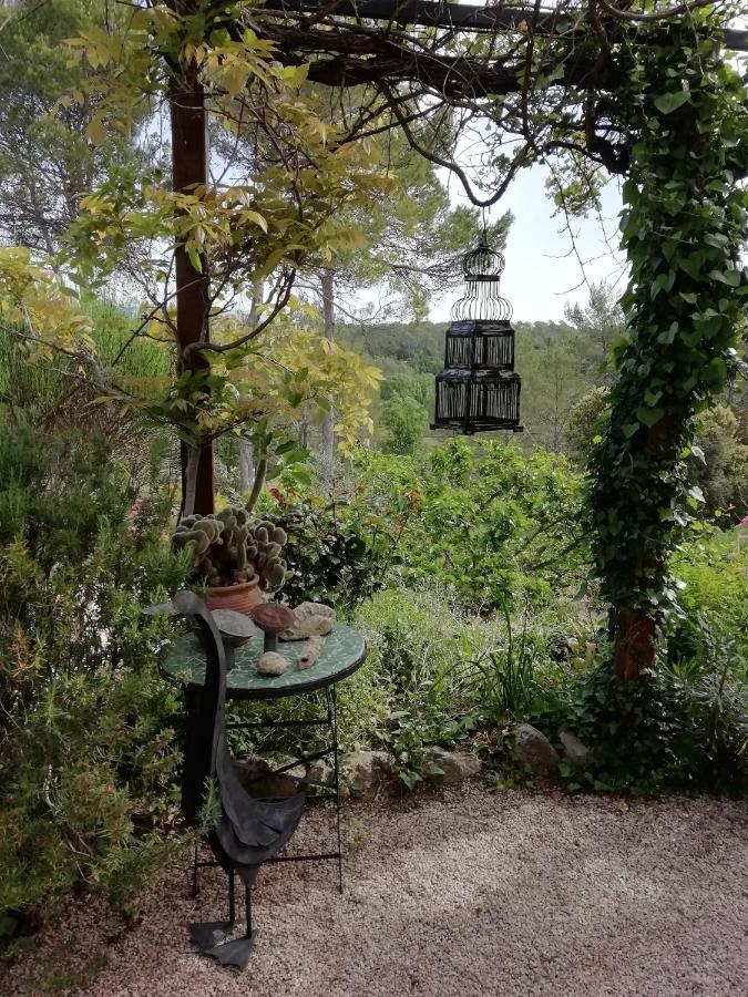 Chambre D'Hote Le Mas Des Romarins Les Arcs-sur-Argens 외부 사진
