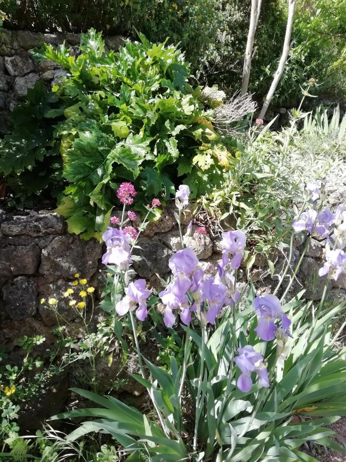 Chambre D'Hote Le Mas Des Romarins Les Arcs-sur-Argens 외부 사진